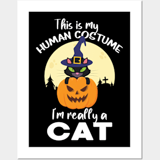 This Is My Human I'm Really A Cat Funny Feline Kitten Lover Posters and Art